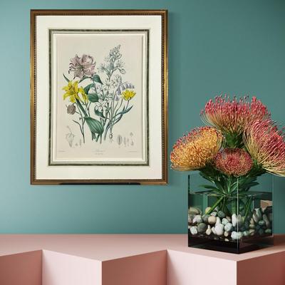 682 Antique Botanical Chromolithograph "The Lily/Tribe" Illustrations Of The Natural Orders Of Plants