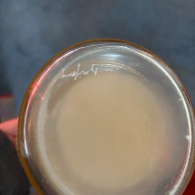 Fenton blue daisy vase