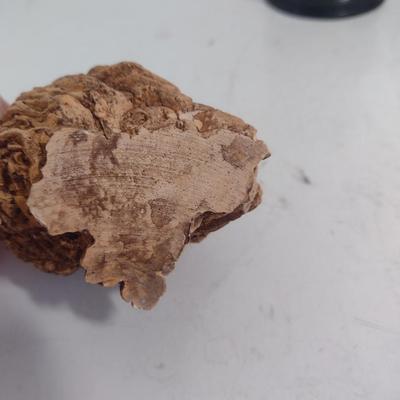 Collection of Owl Themed Home Decor