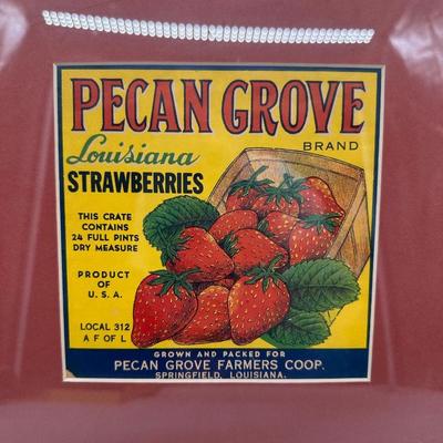 Original Vintage Pecan Grove Louisiana Strawberries Crate Label – Framed