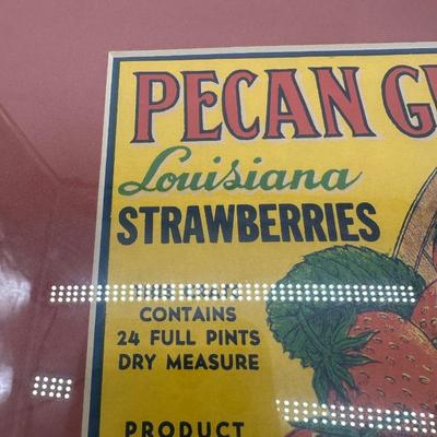 Original Vintage Pecan Grove Louisiana Strawberries Crate Label – Framed