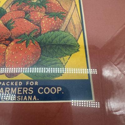 Original Vintage Pecan Grove Louisiana Strawberries Crate Label – Framed