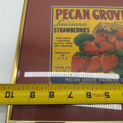 Original Vintage Pecan Grove Louisiana Strawberries Crate Label – Framed