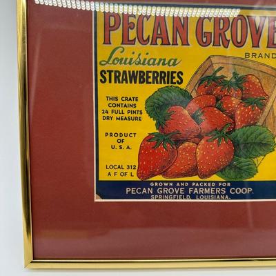 Original Vintage Pecan Grove Louisiana Strawberries Crate Label – Framed