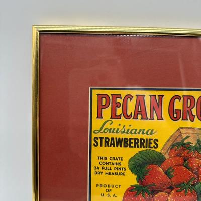 Original Vintage Pecan Grove Louisiana Strawberries Crate Label – Framed
