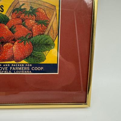 Original Vintage Pecan Grove Louisiana Strawberries Crate Label – Framed