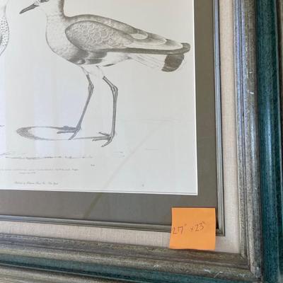 Bird Print 27x23