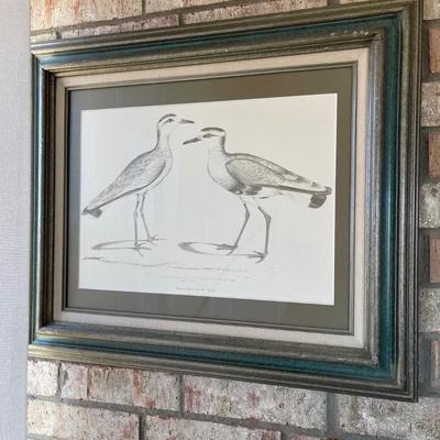Bird Print 27x23