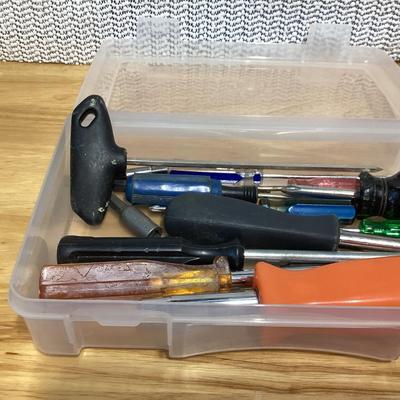screwdrivers and misc. small tools in a storage box.