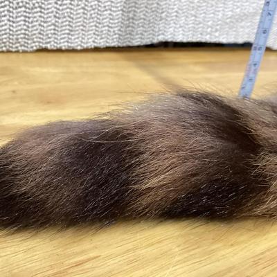 Racoon tail