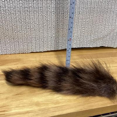 Racoon tail