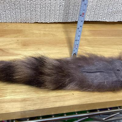 Racoon tail