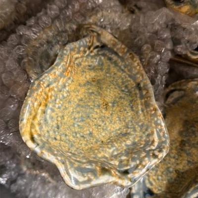 Sale Photo Thumbnail #167