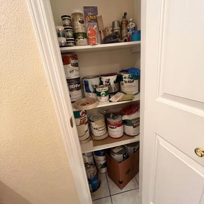 Lot 21 Closet of paint & supplies