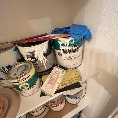 Lot 21 Closet of paint & supplies