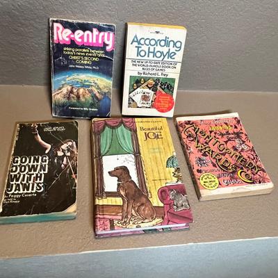 Lot 31 Asst Paperbacks