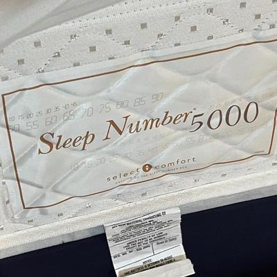 Lot 52 Vintage bed w/ Sleep Number mattress!