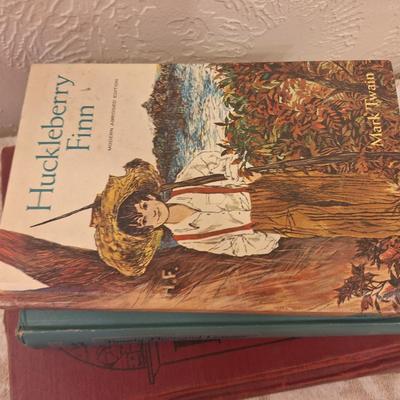 Huckleberry Finn, Twenty Thousand Leagues Under the Sea and Human Use Geography books.