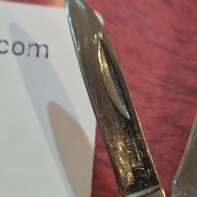 Steel Warrior stainless knife