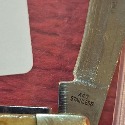 Steel Warrior stainless knife