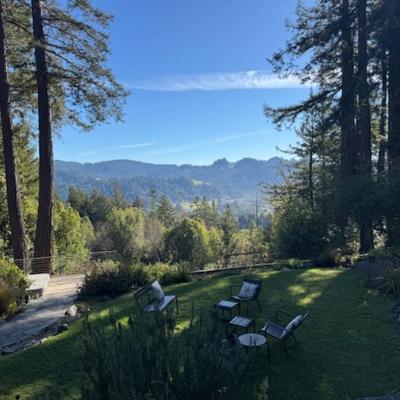 2 CHAISE LOUNGES BY WEST ELM