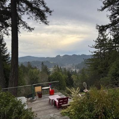 2 CHAISE LOUNGES BY WEST ELM