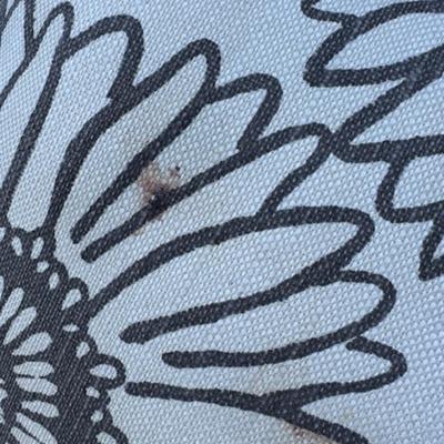 8 PIECE PATIO SET WITH PILLOWS