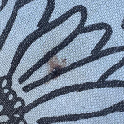 8 PIECE PATIO SET WITH PILLOWS