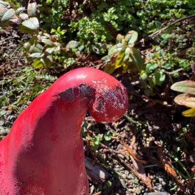 OUTDOOR YARD DECOR RED!