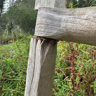 WOODEN SUNFLOWER BIRD FEEDER