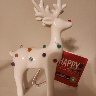 White Reindeer with Multicolored Lights