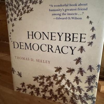 BEE KEEPING STARTER KIT AND MORE