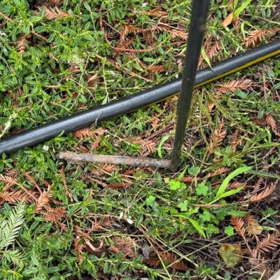 TWO BIRD FEEDERS HANGING