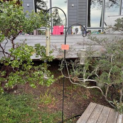 TWO BIRD FEEDERS HANGING