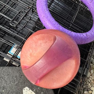 DOG CRATE/KENNEL AND MORE