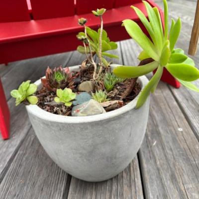 OUTDOOR SMALL PLANT AND WIND CHIME