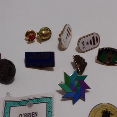 Assorted Pins (#30)