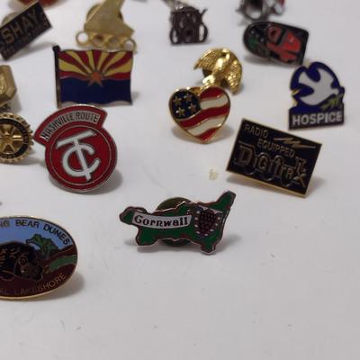 Assorted Pins (#30)