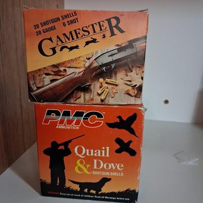 PLASTIC SHOTGUN SHELLS