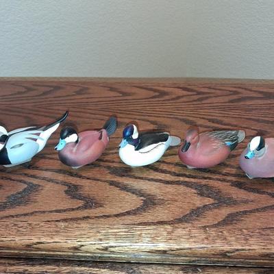 5 PLASTIC DUCKS UNLIMITED
