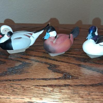 5 PLASTIC DUCKS UNLIMITED