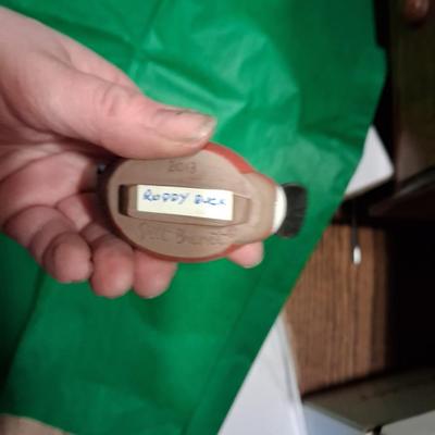 5 PLASTIC DUCKS UNLIMITED