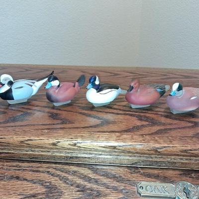 5 PLASTIC DUCKS UNLIMITED