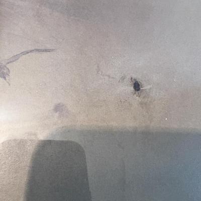 Sale Photo Thumbnail #400