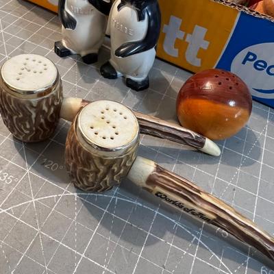 Souvenir Salt & Paper Shakers, COLLECTIBLE