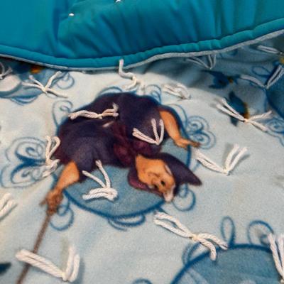 Cinderella -Hand Tied Fleece Blanket