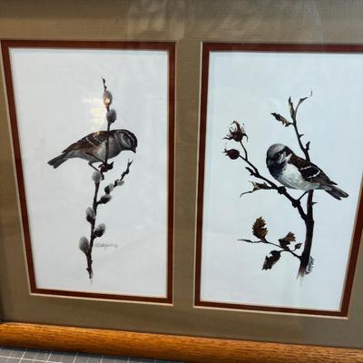 Nice Old Bird Prints - Robins & Sparrow 