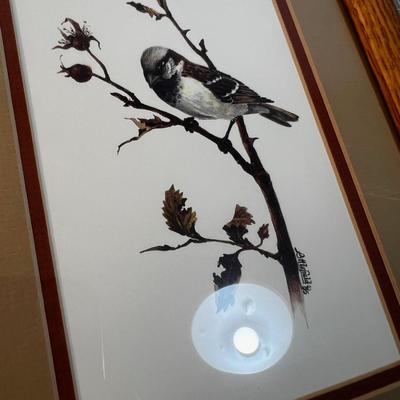 Nice Old Bird Prints - Robins & Sparrow 