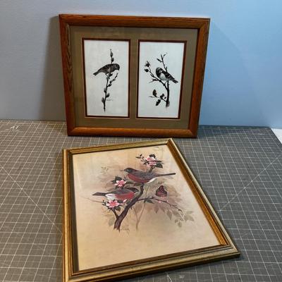 Nice Old Bird Prints - Robins & Sparrow 
