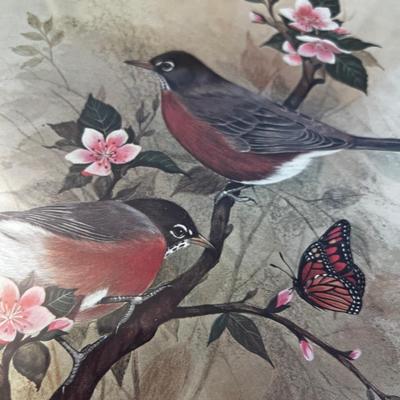 Nice Old Bird Prints - Robins & Sparrow 